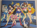 Sailor Moon Anime Painting on Canvas 16" x 20"
